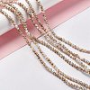 Drawbench Style Natural Freshwater Shell Beads Strands SHEL-F003-10A-2
