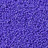 MIYUKI Delica Beads X-SEED-J020-DB0661-3