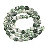 Natural Green Spot Jasper Beads Strands G-H349-A01-20-3