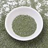 MIYUKI Delica Beads X-SEED-J020-DB0263-2