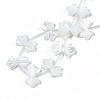 Natural White Shelll Beads Strands SSHEL-S278-123B-2