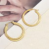 201 Stainless Steel Hoop Earrings for Women VF3090-2-1