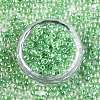 6/0 Glass Seed Beads X-SEED-A015-4mm-2207-3