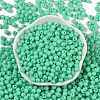 Opaque Acrylic Beads SACR-A007-01C-23-2