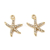 304 Stainless Steel with Crystal Rhinestone Charms STAS-G358-05G-06-1