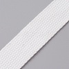 Flat Polyester Cord/Band OCOR-WH0073-46F-1