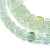 Natural Prehnite Beads Strands G-L537-003A-2