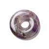 Natural Amethyst Pendants G-I331-01L-2