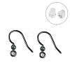 Hypoallergenic Bioceramics Zirconia Ceramic Earring Hooks EJEW-C111-09D-1