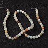 Natural Flower Amazonite Round Bead Strands X-G-D608-8mm-6