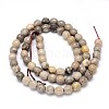 Natural Fossil Coral Round Bead Strands G-O094-08-6mm-3