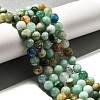 Natural Chrysocolla Beads Strands G-F784-A01-03-2
