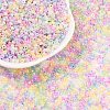 12/0 Glass Seed Beads SEED-R006-2mm-2