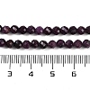 Natural Ruby Beads Strands G-P553-G01-03-6
