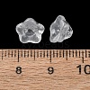 Baking Paint Transparent Glass Beads GLAA-T025-81C-10-3