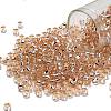 TOHO 6/0 Round Beads SEED-XTR06-0031-1