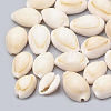 Cowrie Shell Beads SSHEL-T004-08-1