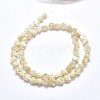 Shell Bead Strands SSHEL-P015-01B-12mm-2