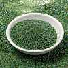 MIYUKI Round Rocailles Beads X-SEED-G009-RR0341-2
