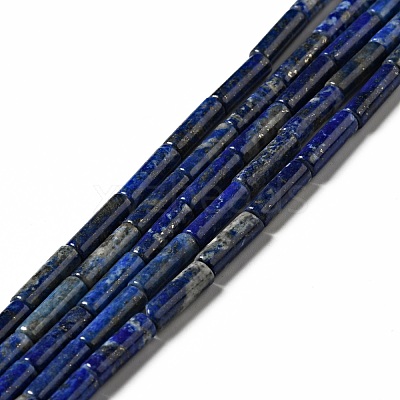 Natural Lapis Lazuli Beads Strands G-I326-05A-1