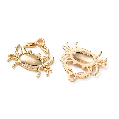 Ocean Brass Pendants KK-L266-02C-G-1