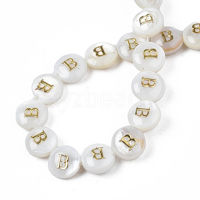Natural Freshwater Shell Beads SHEL-S276-168B-1