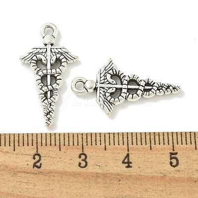 Tibetan Style Alloy Pendants TIBE-I026-6007AS-1