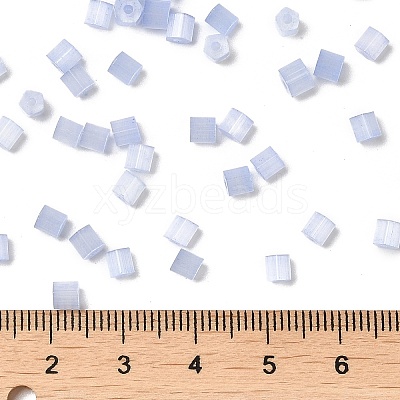 Glass Seed Beads X1-SEED-H002-D-A814-1