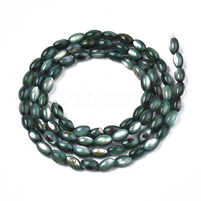 Natural Freshwater Shell Beads Strands X-SHEL-N003-25-B01-1