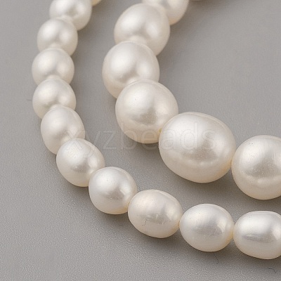 Natural Cultured Freshwater Pearl Graduated Beads Strands PEAR-G007-05A-1