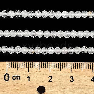 Natural Quartz Crystal Beads Strands G-H002-A02-01-1