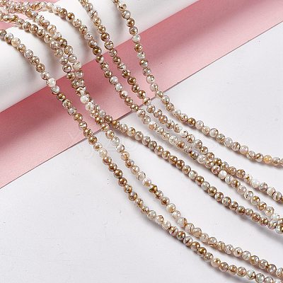 Drawbench Style Natural Freshwater Shell Beads Strands SHEL-F003-10A-1