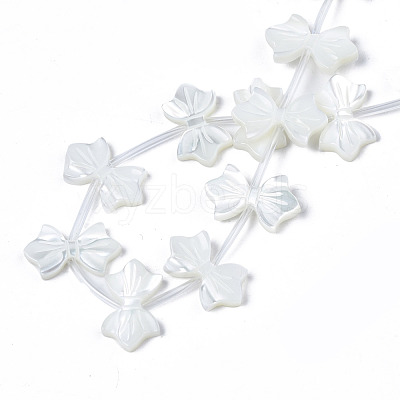 Natural White Shelll Beads Strands SSHEL-S278-123B-1