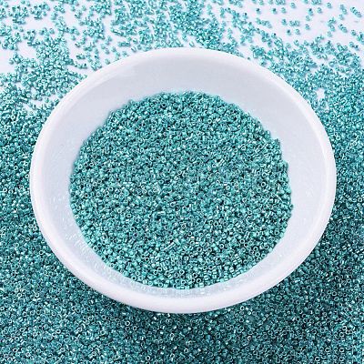 MIYUKI Delica Beads SEED-JP0008-DB0427-1