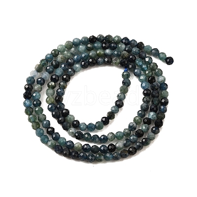 Natural Blue Tourmaline Beads Strands G-G259-D10-2mm-1
