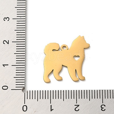 304 Stainless Steel Pendants STAS-O005-13G-1