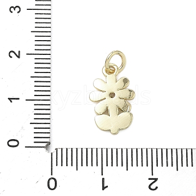 Brass Micro Pave Cubic Zirconia Charms KK-K368-04B-G-1