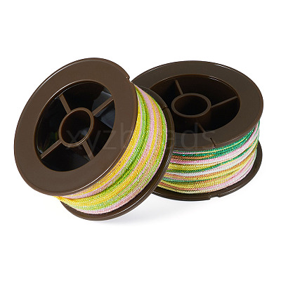 2 Rolls 2 Colors Segment Dyed Round Polyester Twisted Cords OCOR-TA0003-65A-1
