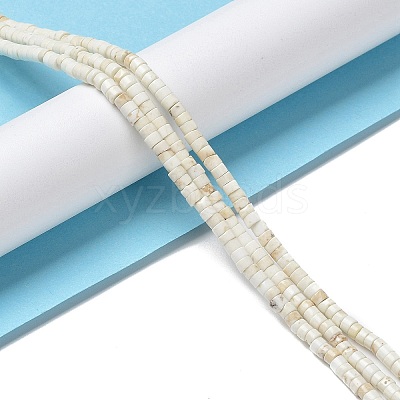 Natural Howlite Beads Strands G-E604-A01-C-1