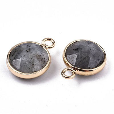 Natural Labradorite Pendants G-T131-101A-1