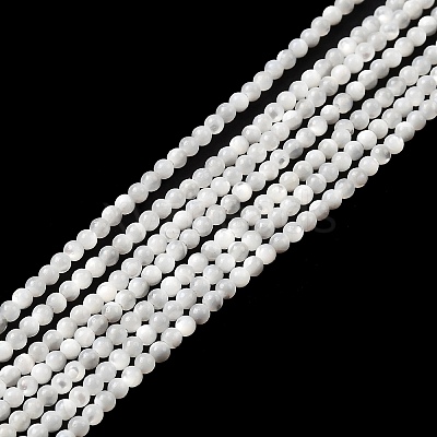 Natural White Shell Beads X-G-N0190-11-2mm-1