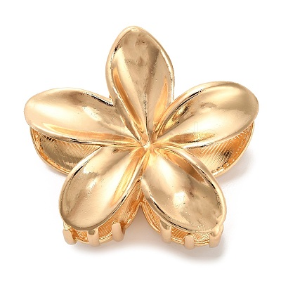 Alloy Claw Hair Clips LS-AJEW-A061-06C-G-1