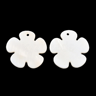Shell Pendants PBB180Y-1