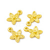 Rack Plating Alloy Charms LS-FIND-G045-05MG-3