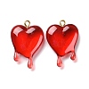 Transparent Resin Pendants LS-RESI-F028-01-2