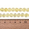 Crackle Transparent Glass Beads Strands GLAA-N068-06A-07-4