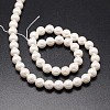 Shell Pearl Beads Strands BSHE-E008-8mm-12-3