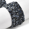 Natural Sapphire Beads Strands G-K366-C04-2mm-2