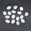 Shell Cabochons SSHEL-P015-59C-1