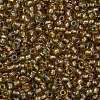 TOHO Round Seed Beads SEED-JPTR11-0279-2
